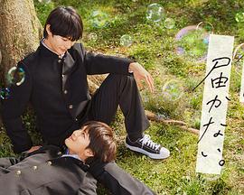 广州快速seo怎么做